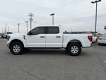 2023 Ford F-150 XLT - 5.0 V8 / 36 GAL FUEL TANK