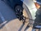 2022 Kia Carnival EX - KIA CERTIFIED / POWER LIFTGATE