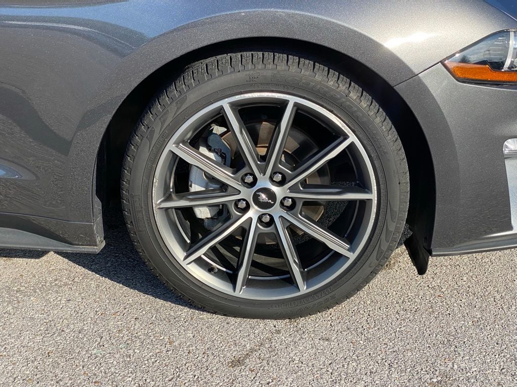2019 Ford Mustang EcoBoost