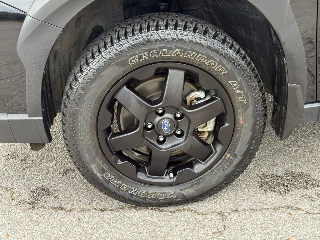 2025 Subaru Outback Wilderness