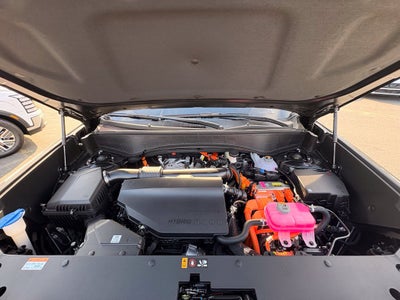 2027 Hyundai PALISADE HYBRID Blue SEL 7 Passenger