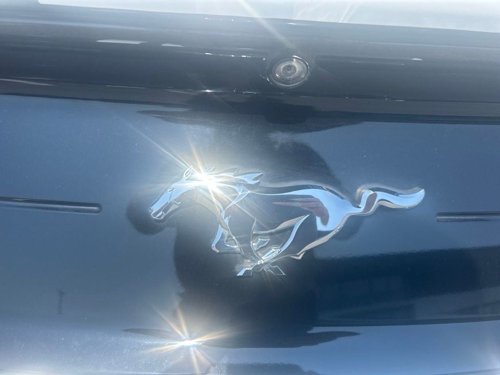 2022 Ford Mustang EcoBoost