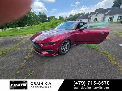 2025 Ford Mustang EcoBoost - CLEAN CARFAX / ONE OWNER