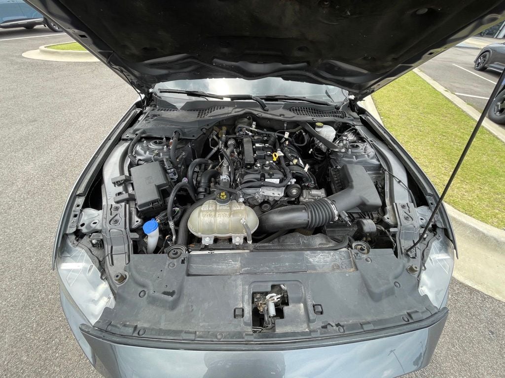 2021 Ford Mustang EcoBoost Premium CLEAN CARFAX / HEATED SEATS