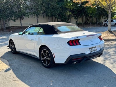 2025 Ford Mustang EcoBoost